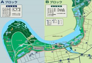 017-31annaizu1200